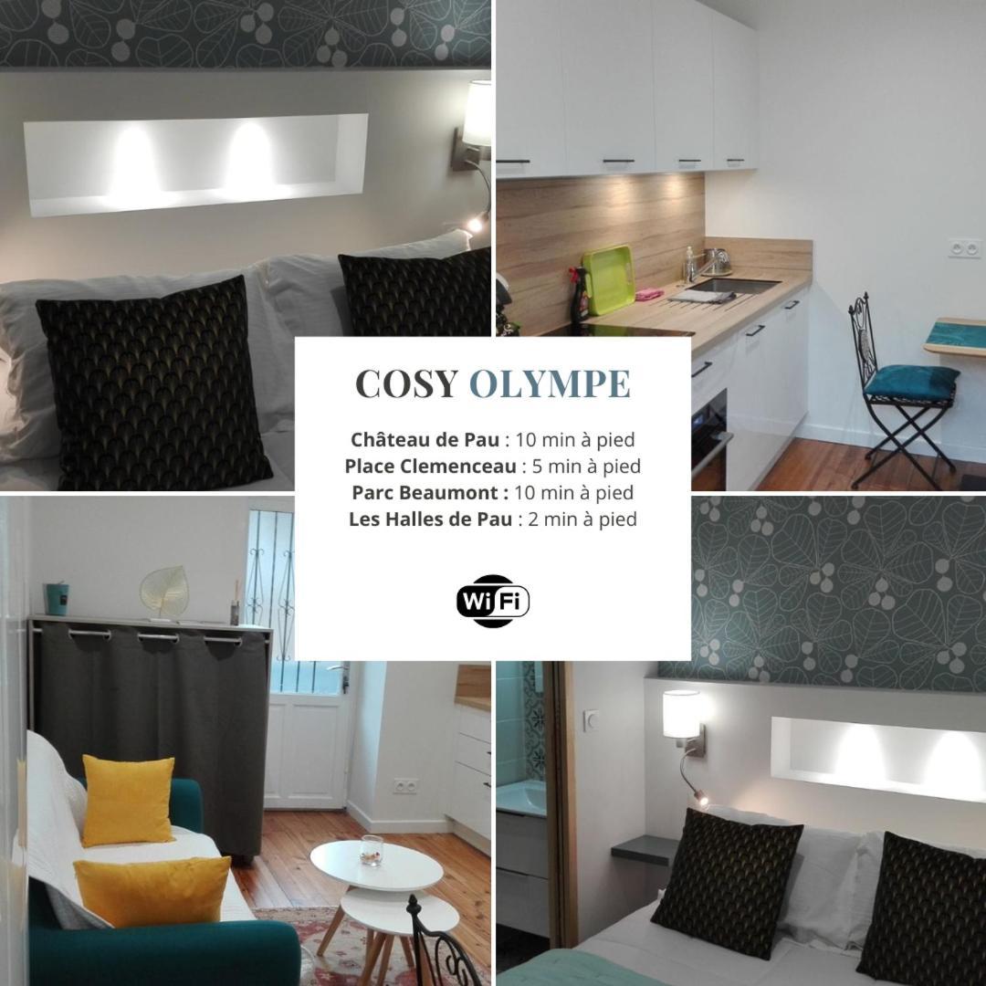 Cosy Olympe - 1Ch - Hyper Centre Quartier Des Halles Pau Dış mekan fotoğraf
